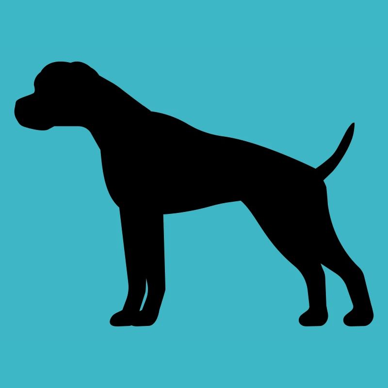 boxer