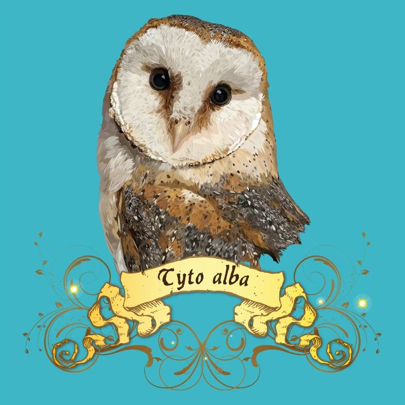 Barn owl