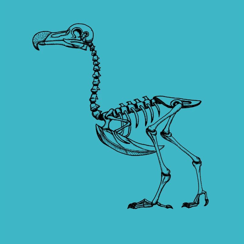 Dodo Skeleton