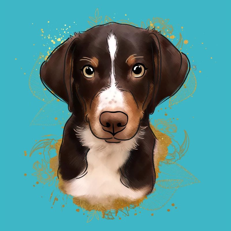 Berner Sennen Hund