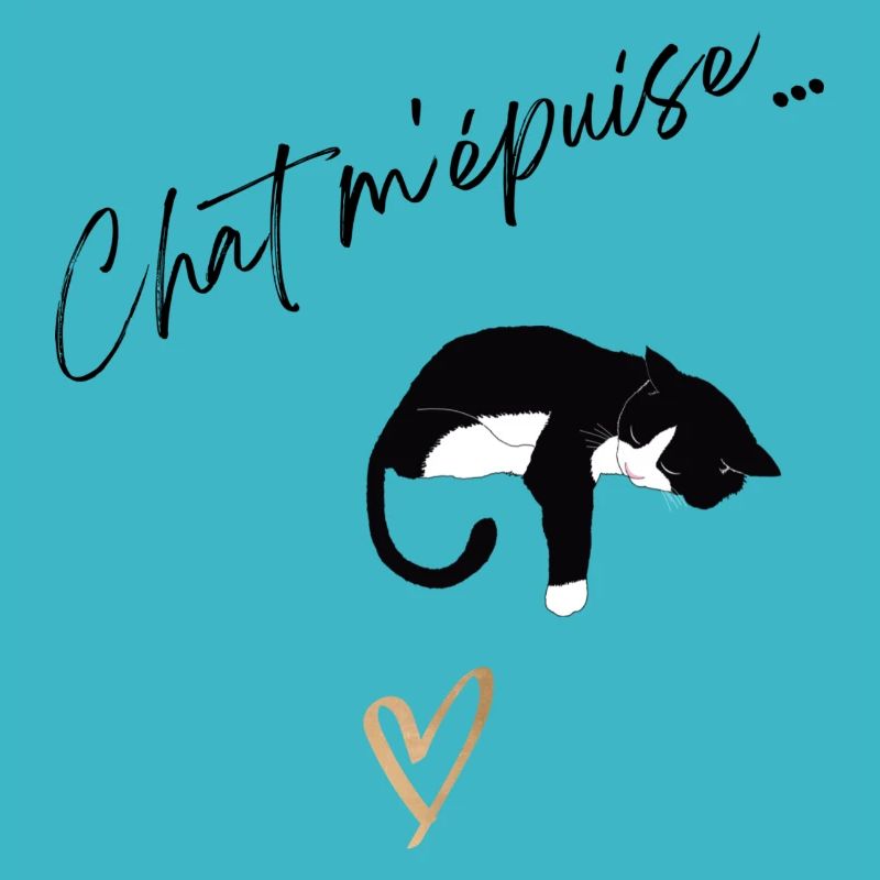 Chat m'épuise