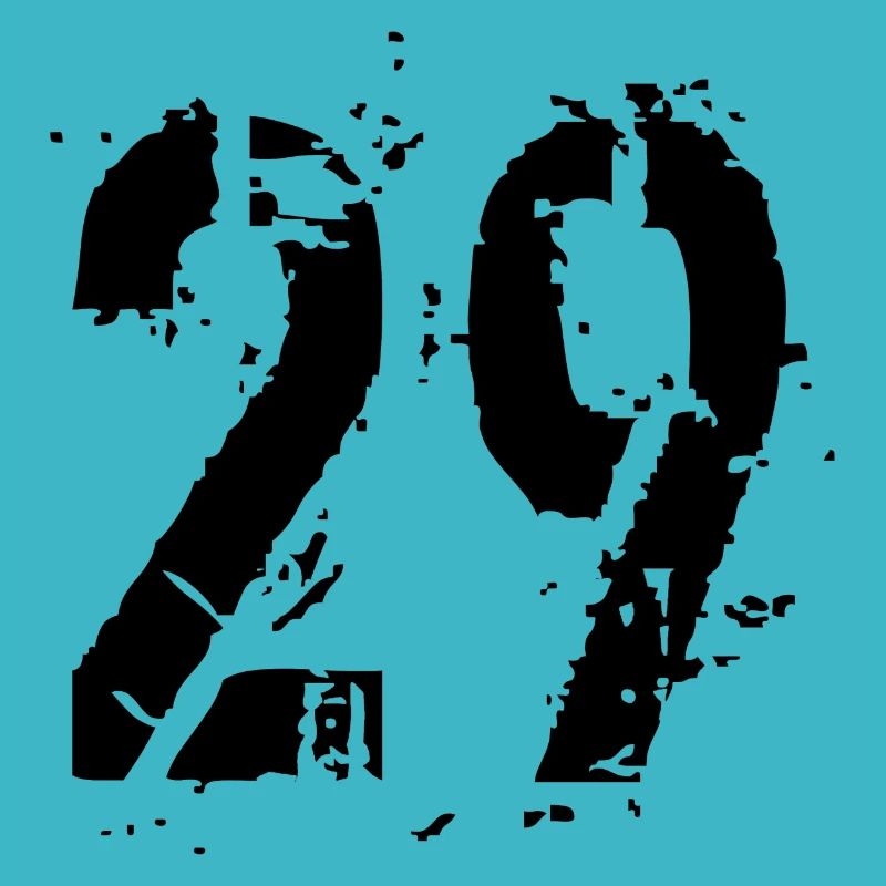 29 Nummer 29