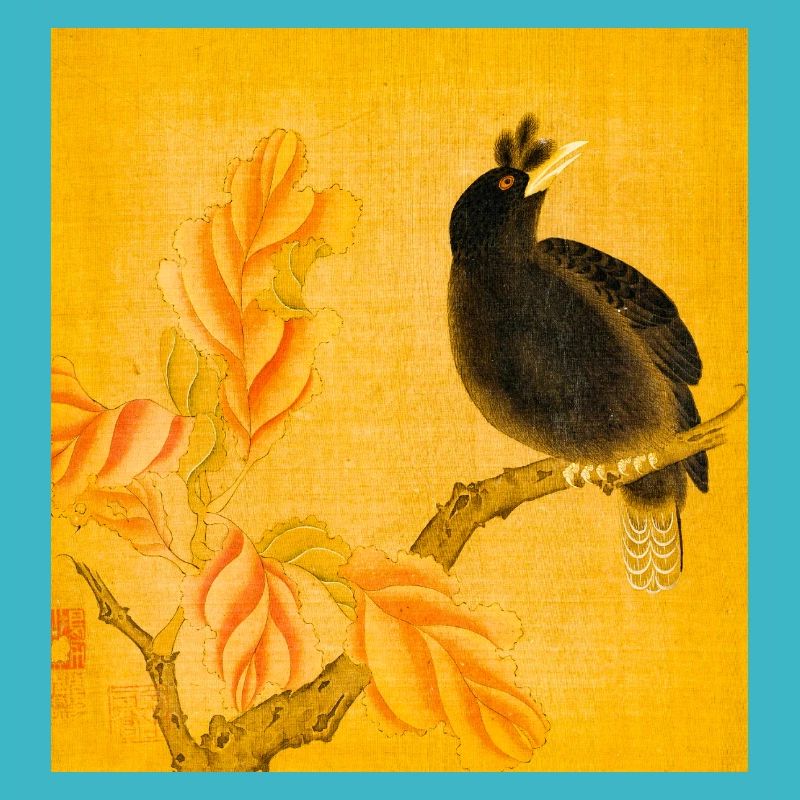 Schwarzer Singvogel auf gelben Blüten