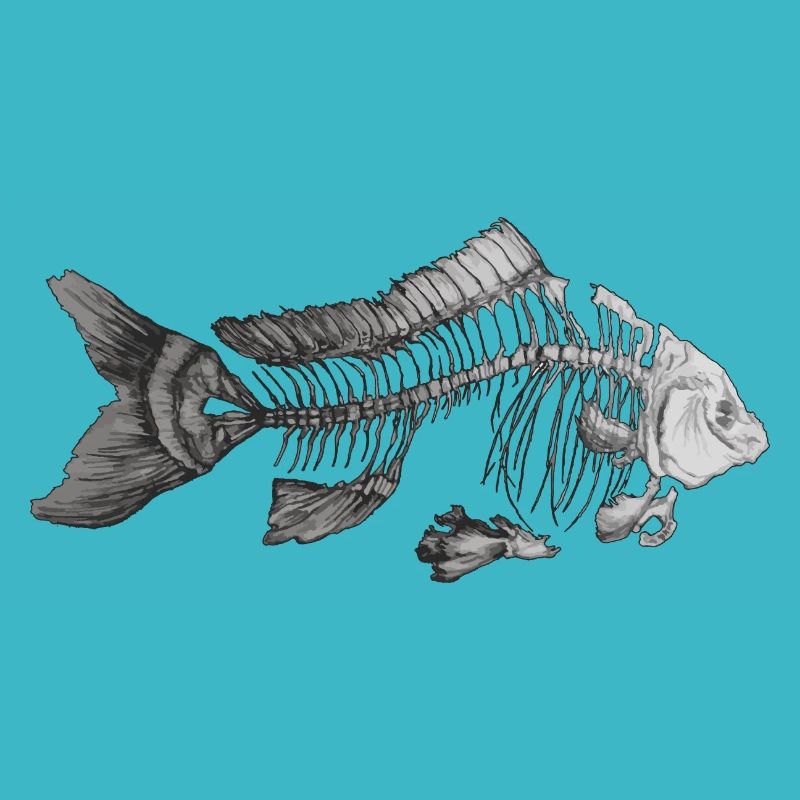 Fish in black and white