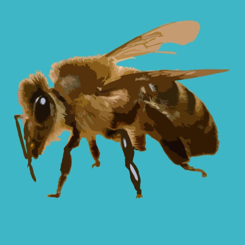 Bee Fluff