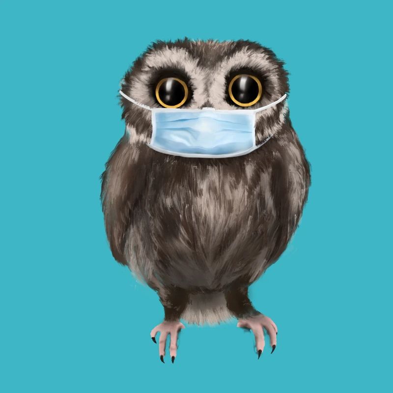 Owl with