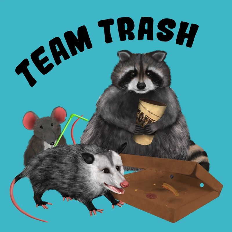 Racoon Opossum Mouse - Corbeille d'équipe