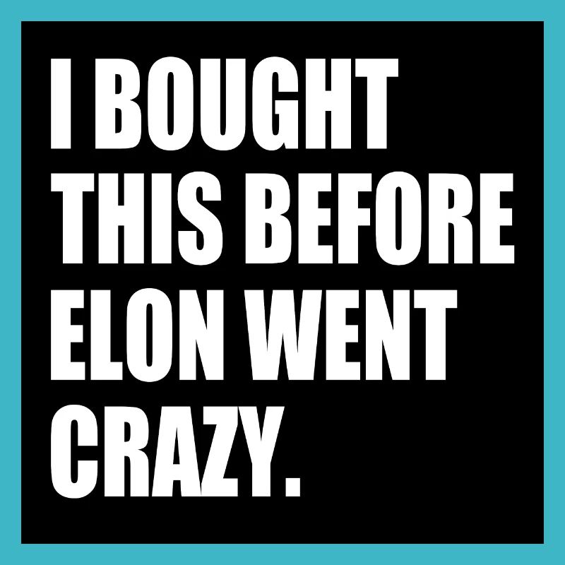 i bought this before elon went crazy