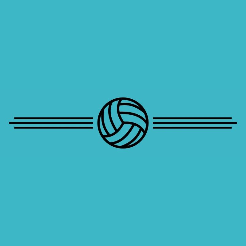 volleyball team