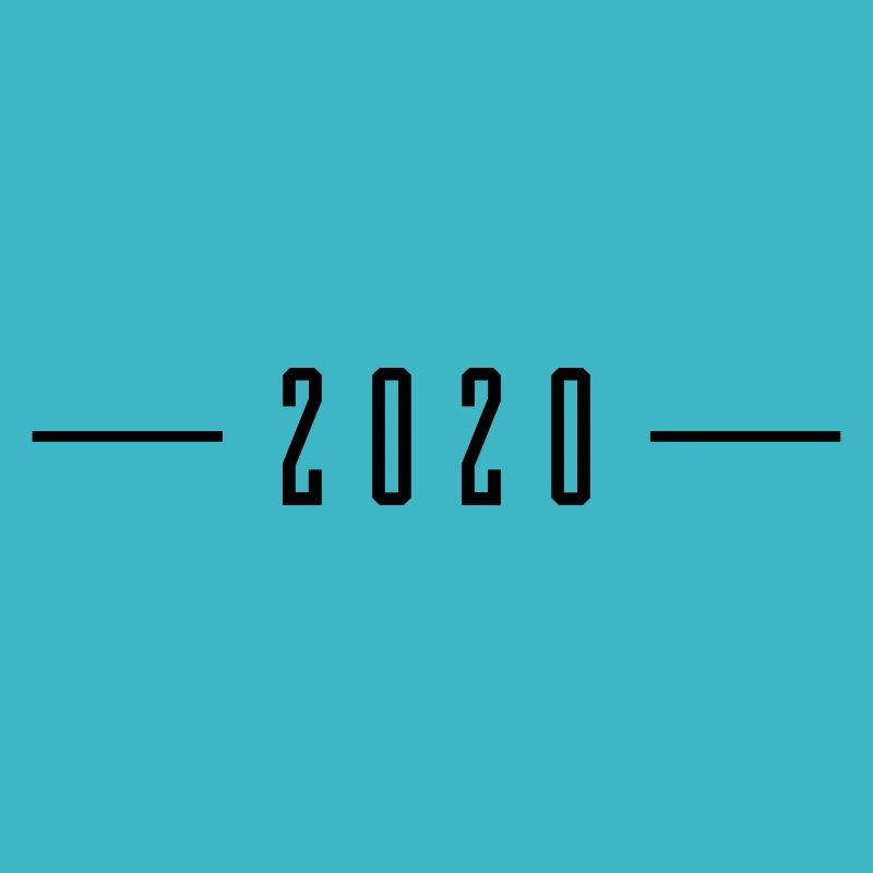 2020 year dash