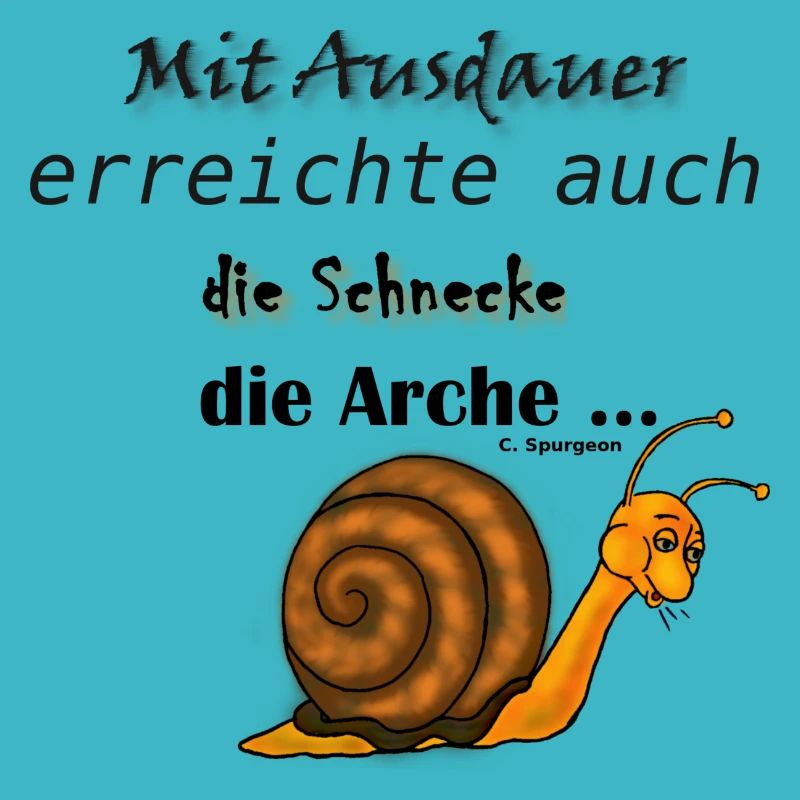 Mit Ausdauer erreichte die Schnecke die Arche