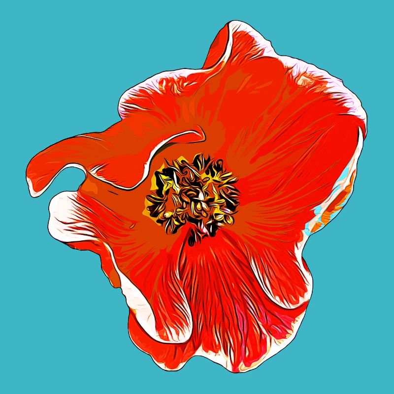 Flowers Rose orange