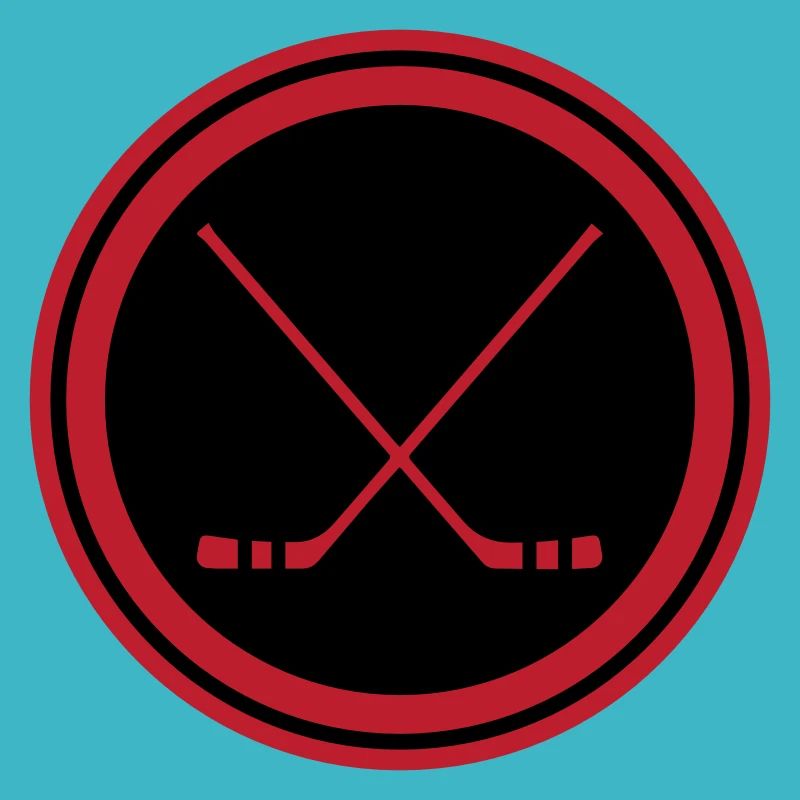 Bâtons de hockey sur glace