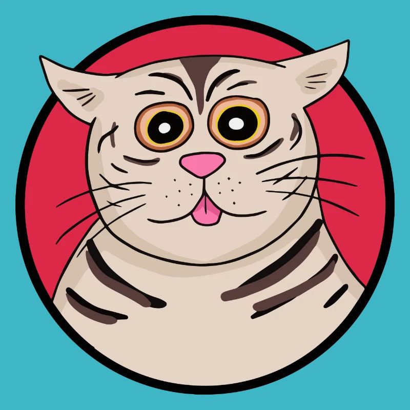 Strange cat