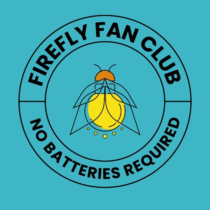 Fireflies Firefly Lightning Bug Insect Collector