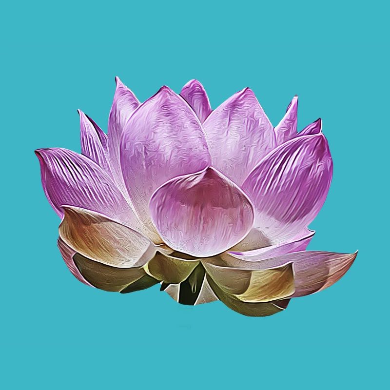 Lotusblüte