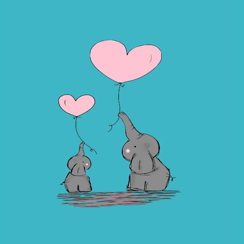 amour d'éléphant