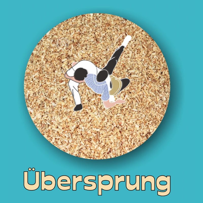 Schweizer Schwinger Design