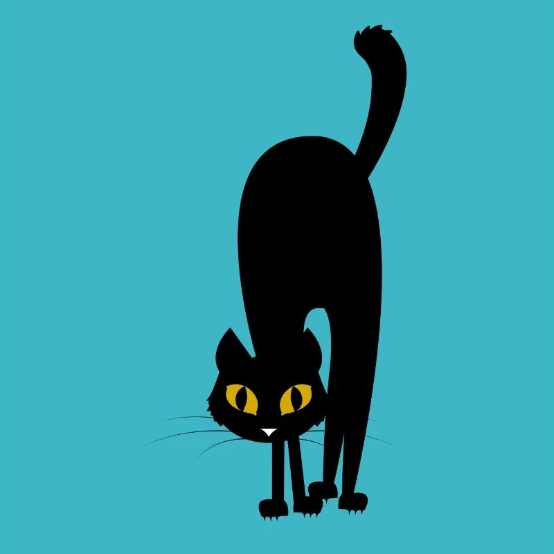 frightened cat