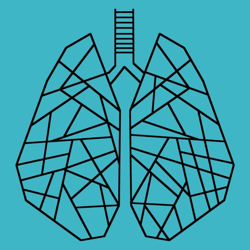 Lungs - Geometric Lungs