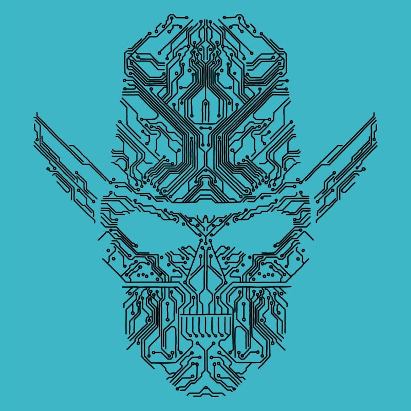Circuit Skull