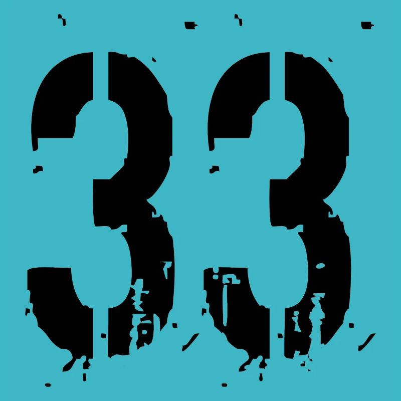 33 Number 33
