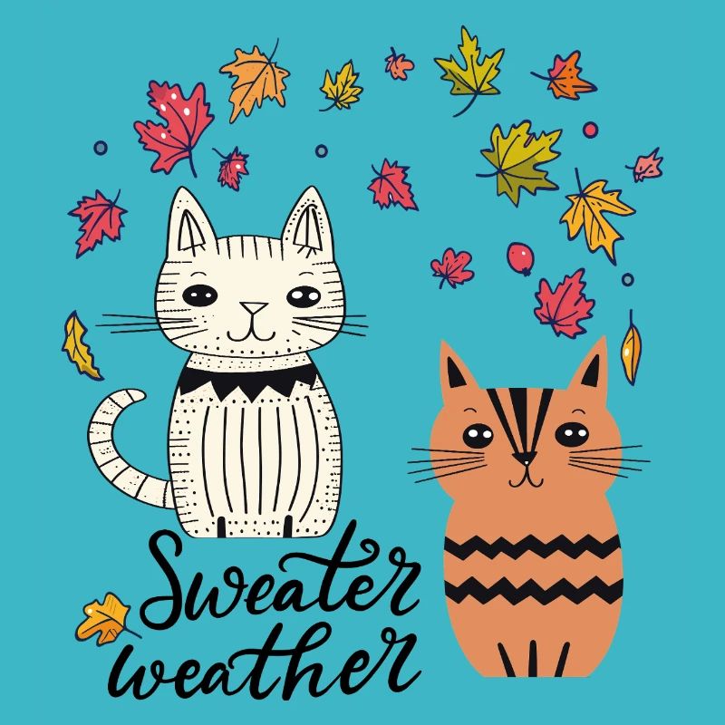  Katzen im Herbstlaub