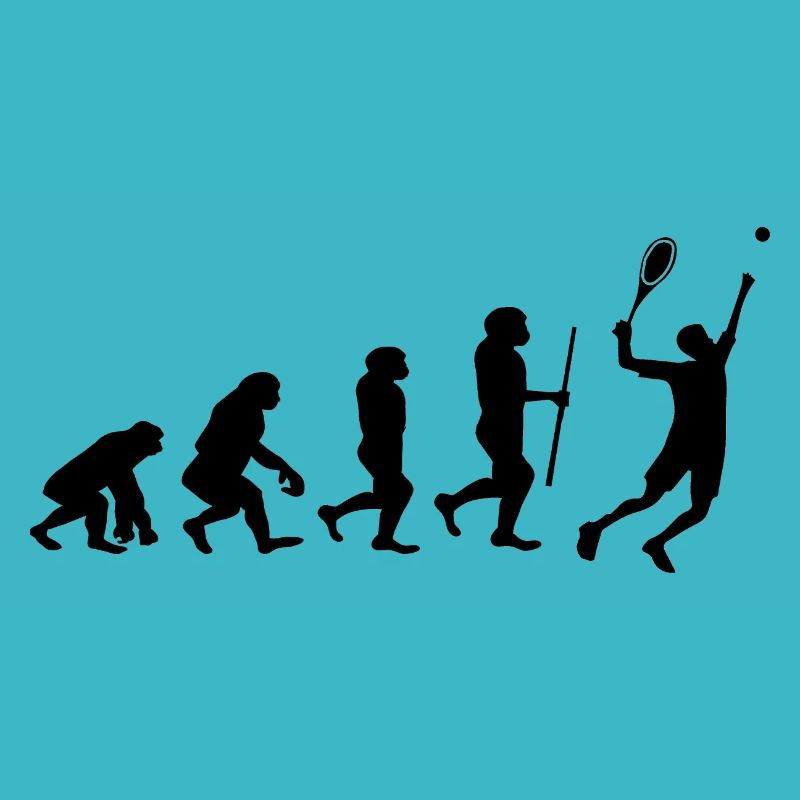 Tennis Evolution Badminton
