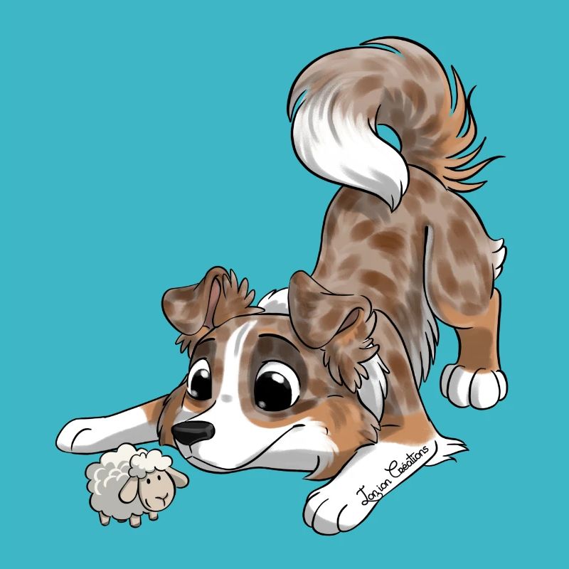 The cutest Australian Shepherd