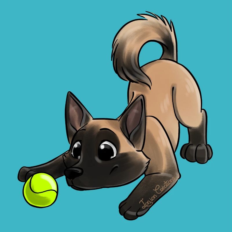 Der süßeste Malinese