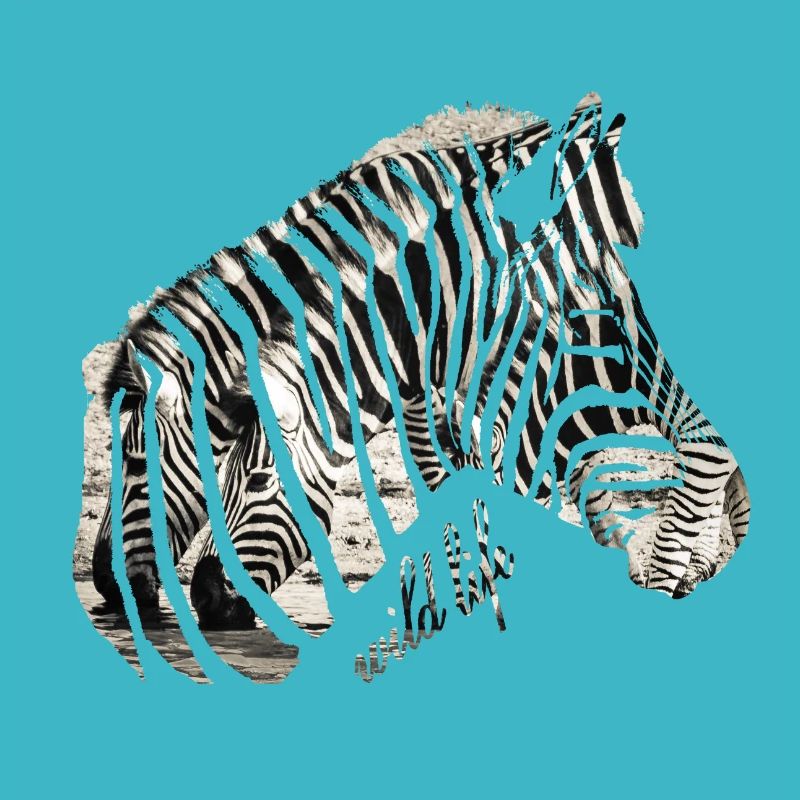 Zebra Herde Wildlife