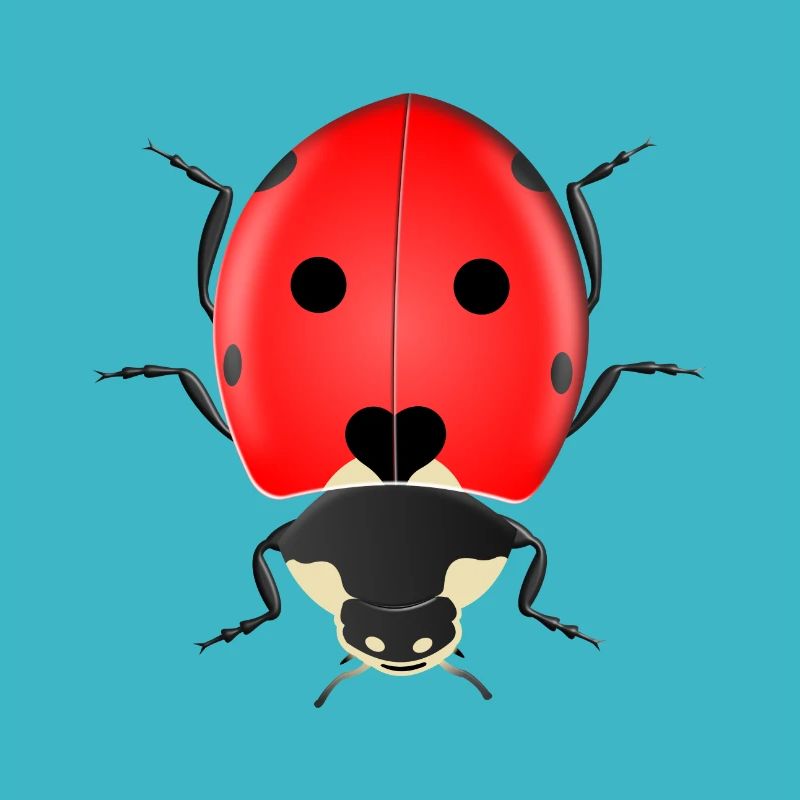 ladybug