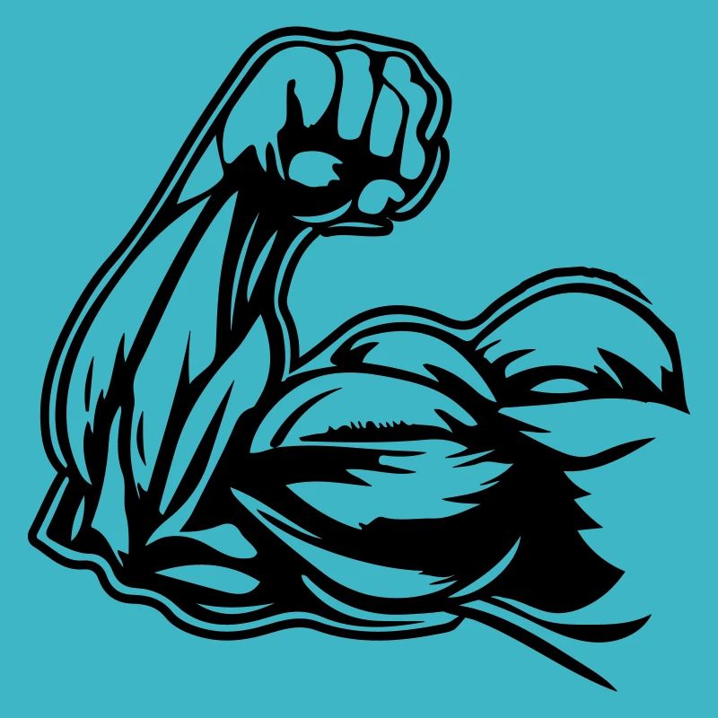 Muscles du bras biceps