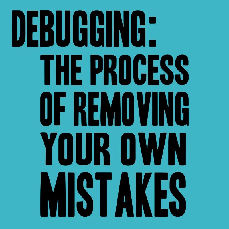 debugging process