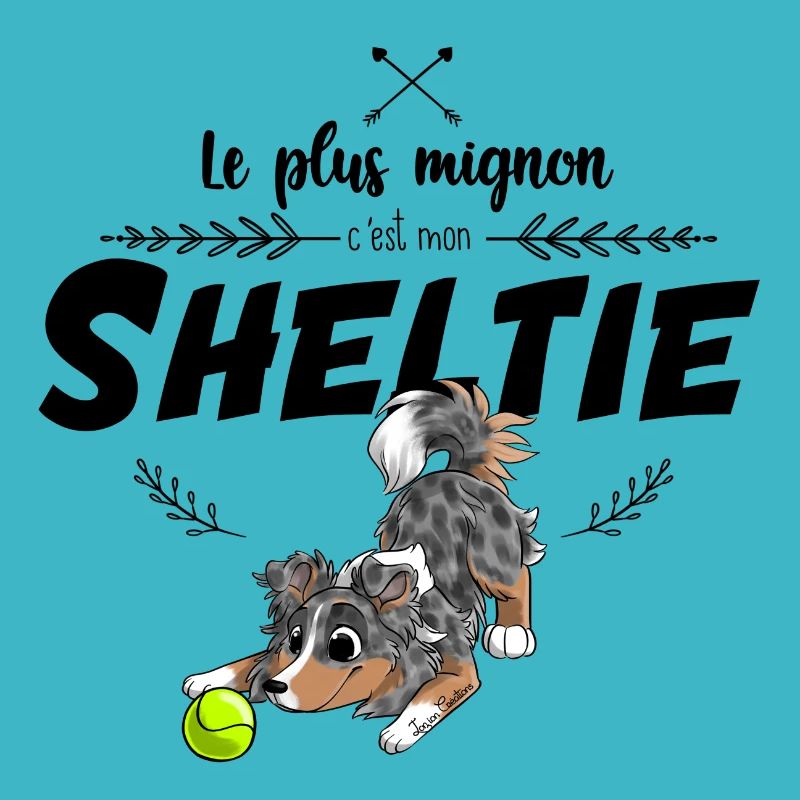 Le plus mignon Shetland