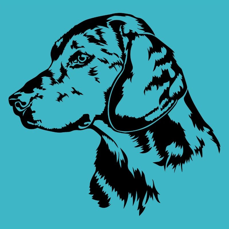 ALPENLÄNDISCHE DACHSBRACKE Hundeportrait Wilsigns