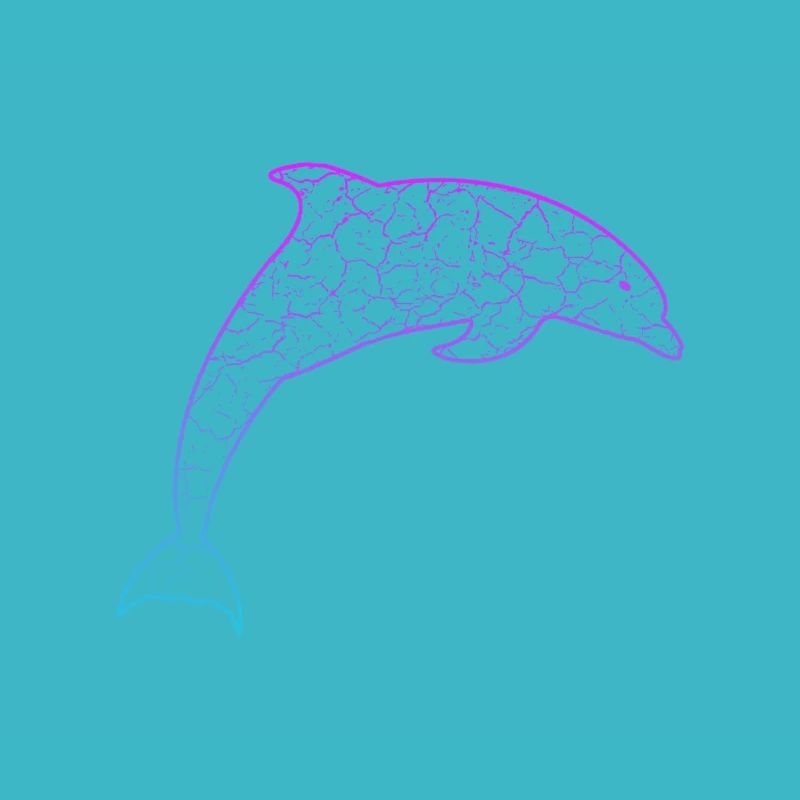 Delfin dolphin