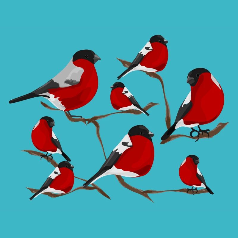 Oiseaux d'hiver