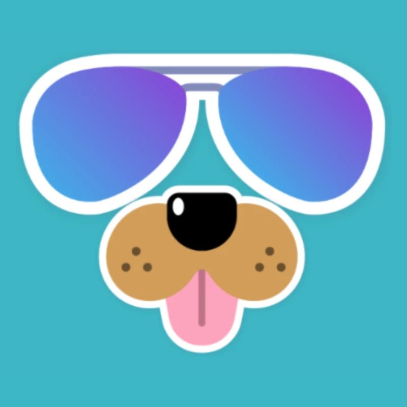 cool dog