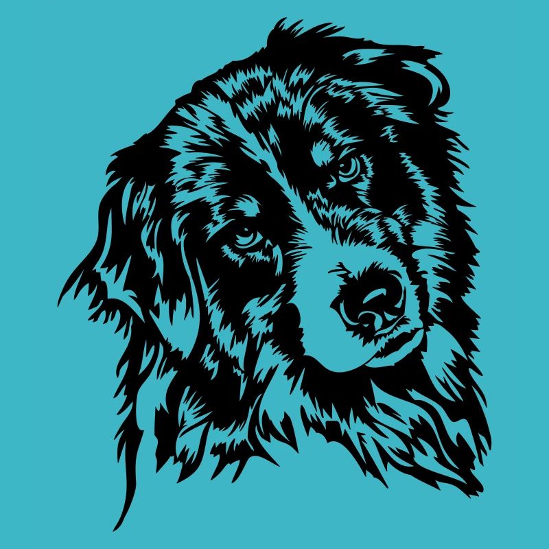 Australian Shepherd Aussie Hund Hunde Wilsigns