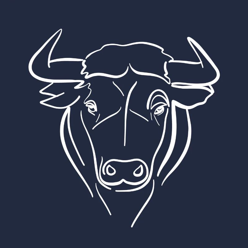 Bull line drawing over white