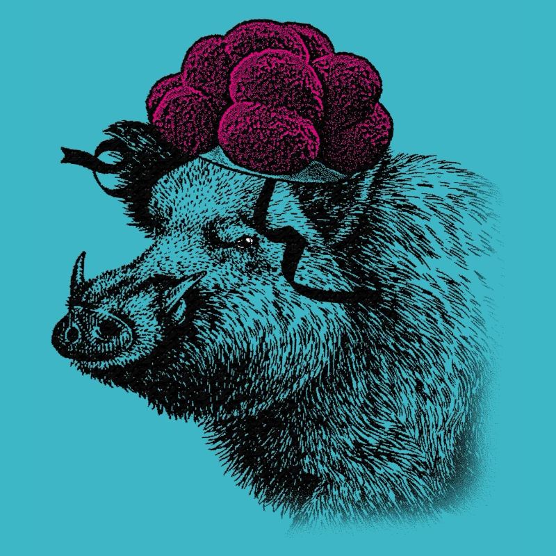 Black Forest Tussi wild boar with Bollenhut