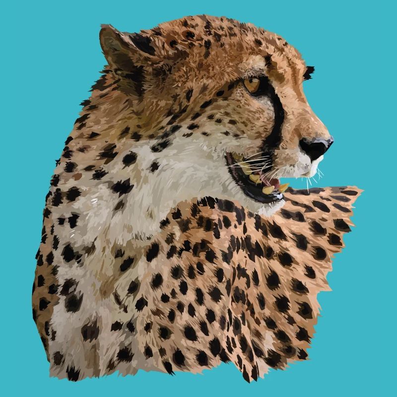 Guépard