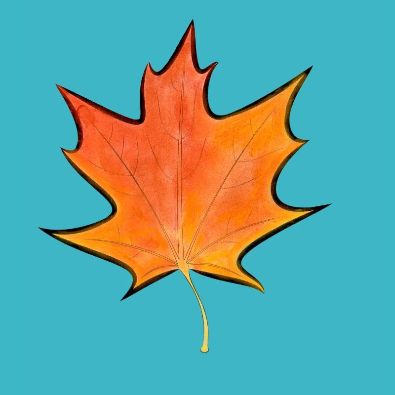 Maple leaf