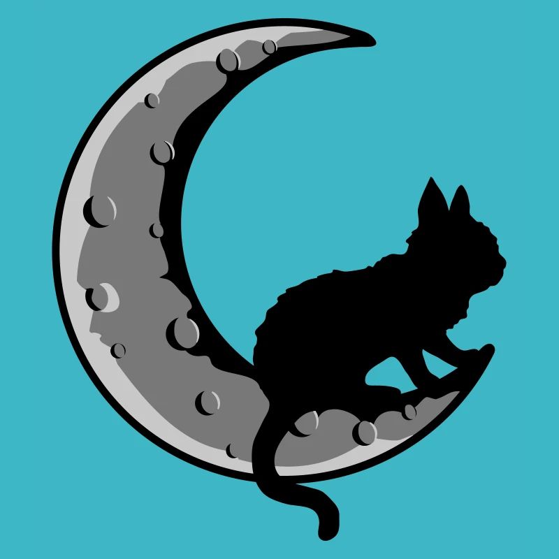 Sickle Moon Black Cat