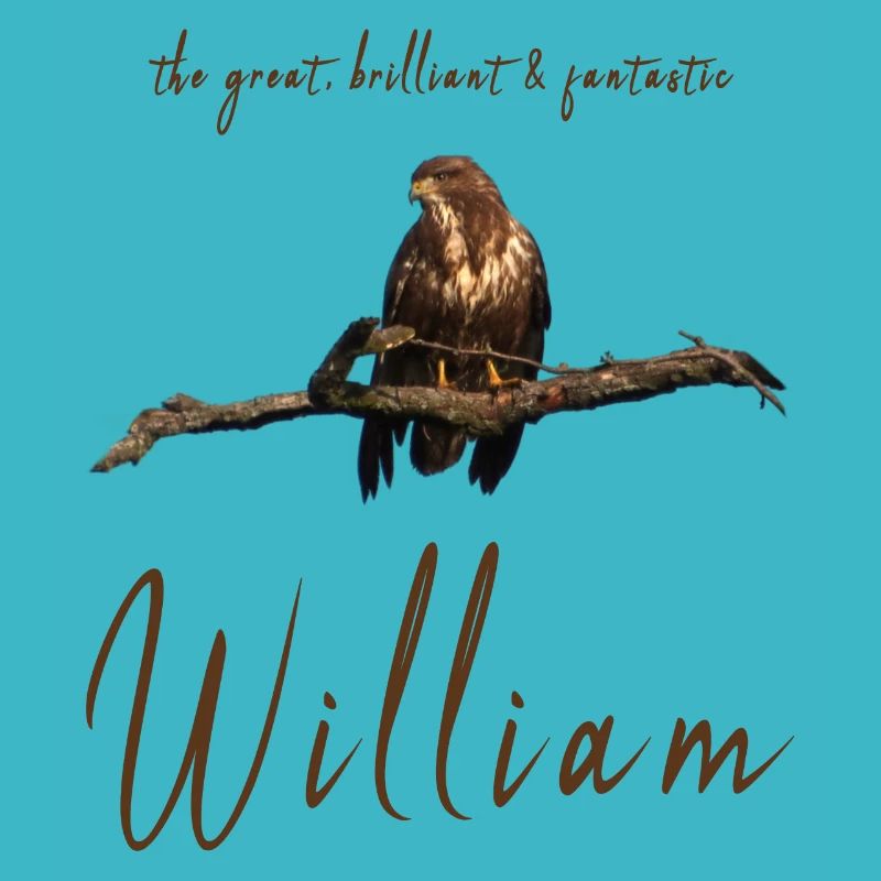 William Willi Geburtstag William