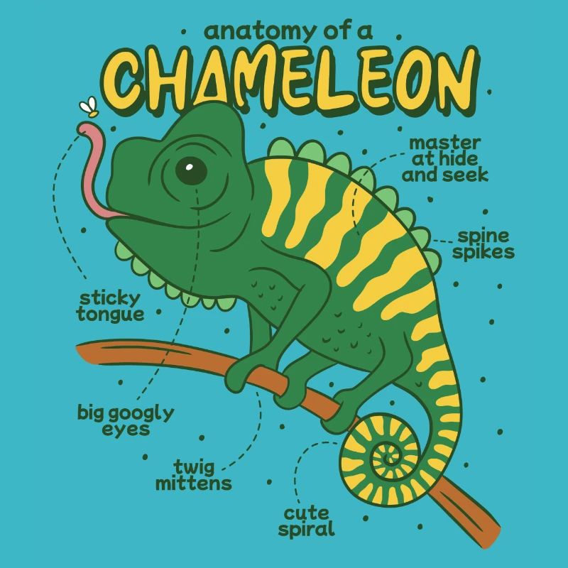 Anatomie d’un caméléon