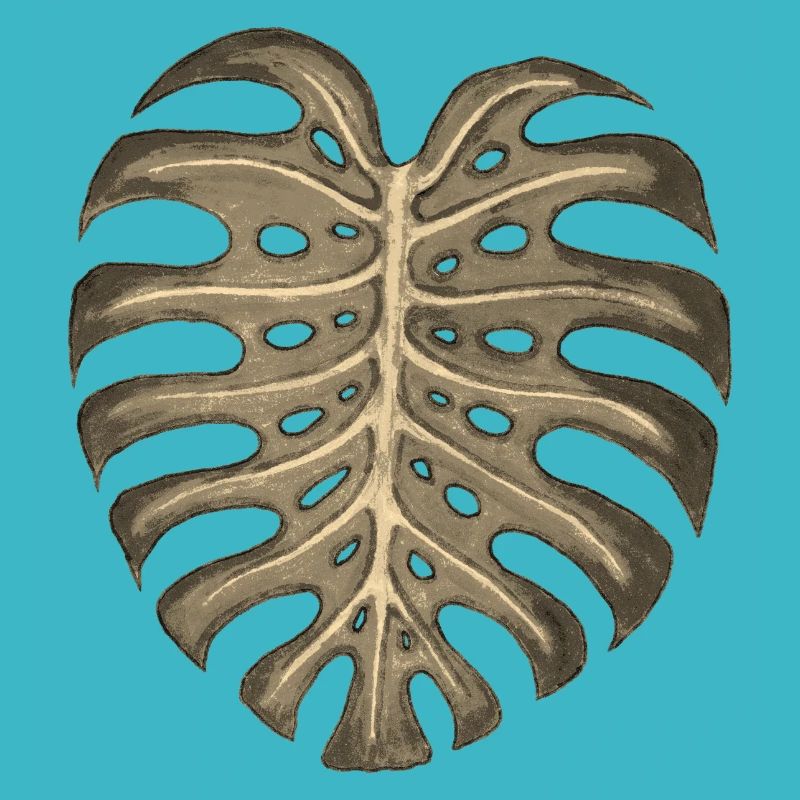Monstera