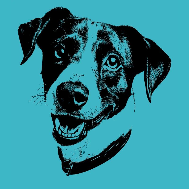 Jack Russell Terrier