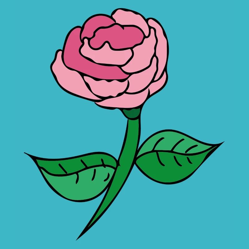 Pink Rose